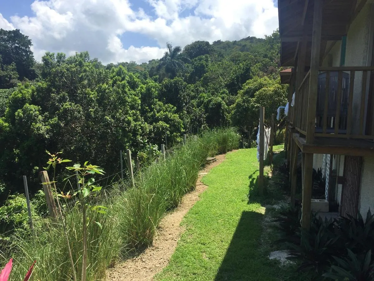 ** 게스트하우스 Teresinajamaica 호텔 Saint Annʼs Bay 자메이카
