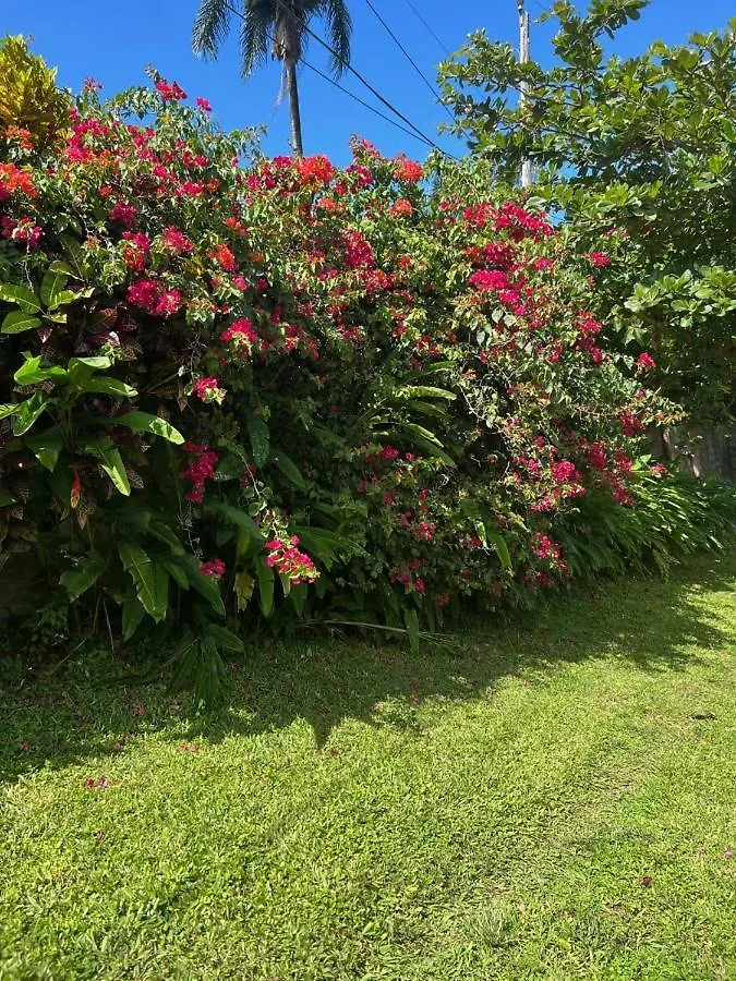게스트하우스 Teresinajamaica 호텔 Saint Annʼs Bay