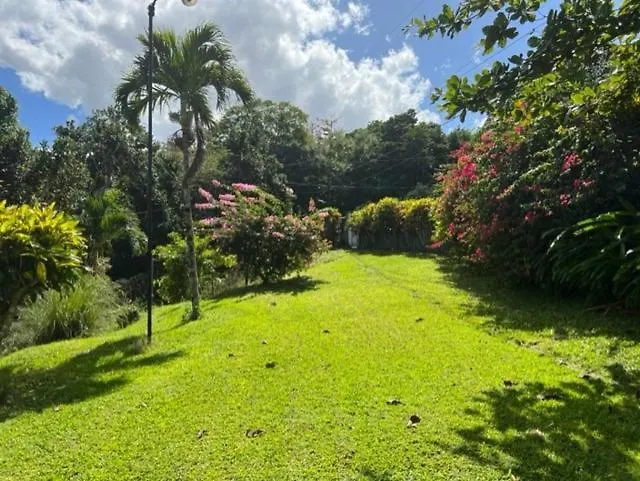 Teresinajamaica 호텔 Saint Annʼs Bay 게스트하우스