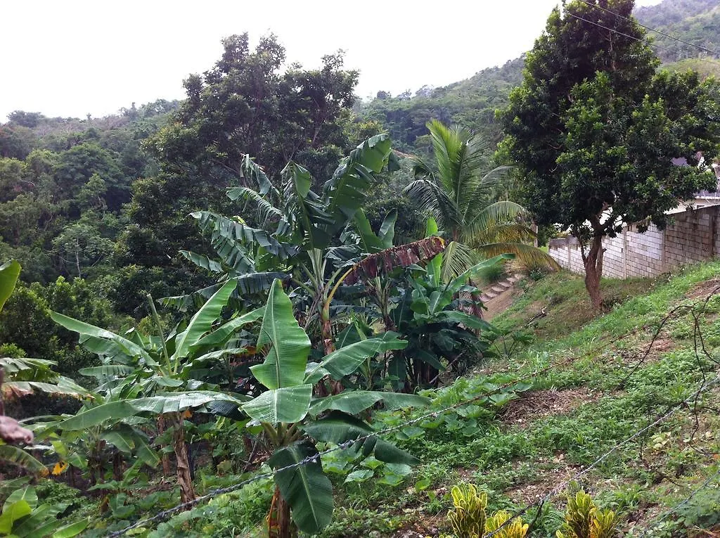 Teresinajamaica 호텔 Saint Annʼs Bay