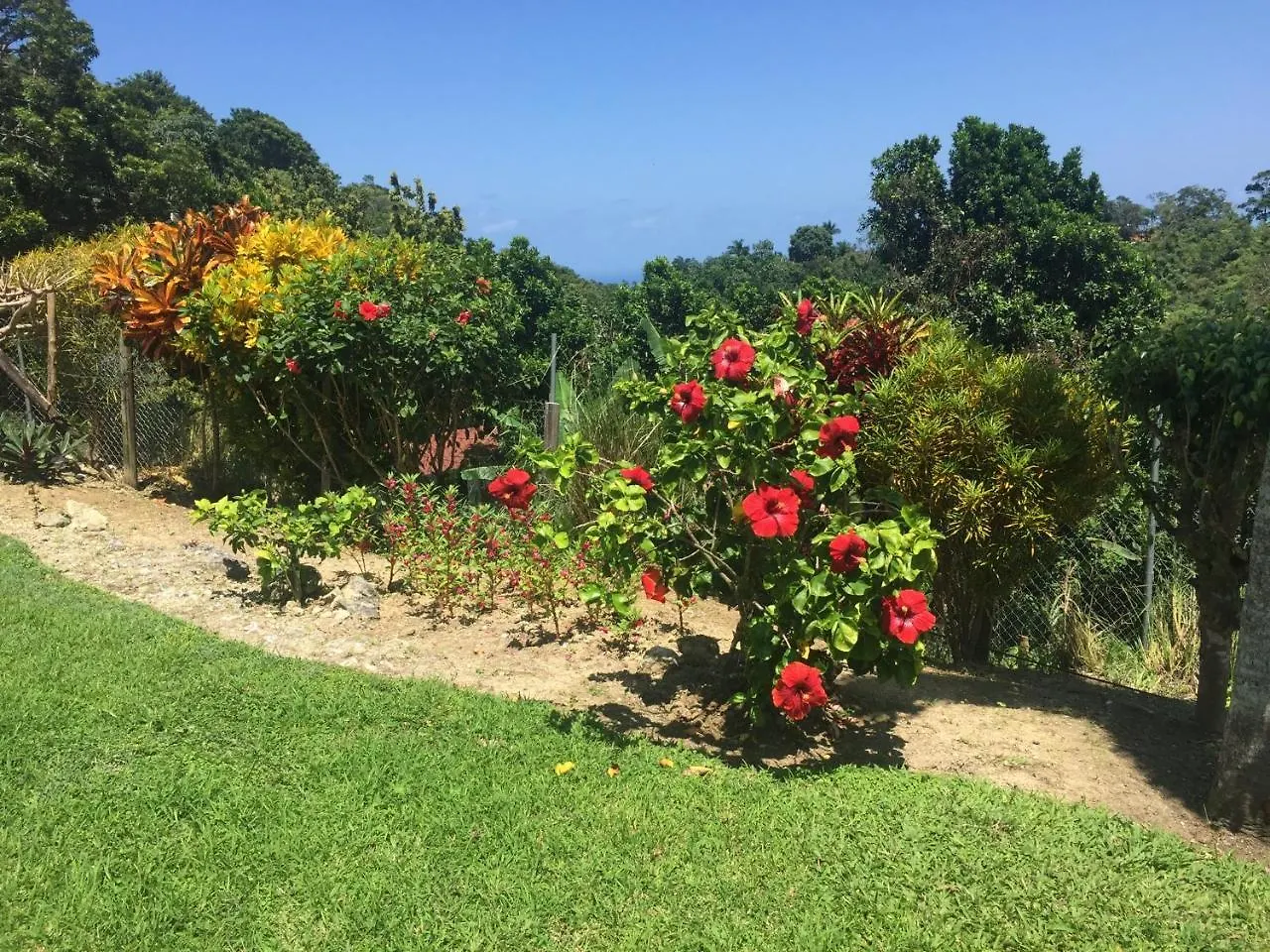 Teresinajamaica 호텔 Saint Annʼs Bay 2*,
