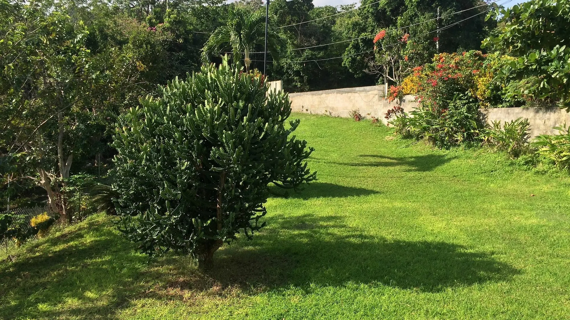 게스트하우스 Teresinajamaica 호텔 Saint Annʼs Bay